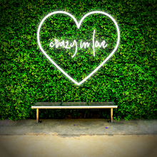 Load image into Gallery viewer, "crazy in love" Center Heart Design Neon Sign