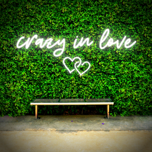 Load image into Gallery viewer, "crazy in love" Double Heart Design Neon Sign