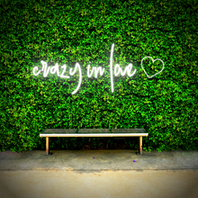 Load image into Gallery viewer, "crazy in love" Heart Design Neon Sign