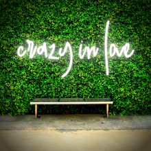 Load image into Gallery viewer, "crazy in love" Lowercase Design Neon Sign