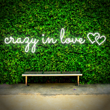 Load image into Gallery viewer, "crazy in love" Double Heart Horizontal Design Neon Sign