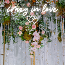 Load image into Gallery viewer, "crazy in love" Double Heart Design Neon Sign