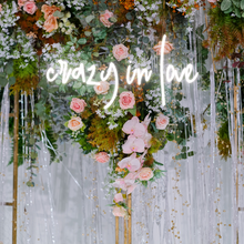 Load image into Gallery viewer, "crazy in love" Lowercase Design Neon Sign
