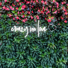 Load image into Gallery viewer, "crazy in love" Heart Design Neon Sign