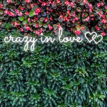 Load image into Gallery viewer, "crazy in love" Double Heart Horizontal Design Neon Sign