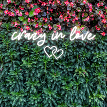 Load image into Gallery viewer, "crazy in love" Double Heart Design Neon Sign