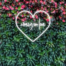 Load image into Gallery viewer, "crazy in love" Center Heart Design Neon Sign