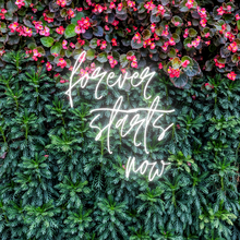 Load image into Gallery viewer, "Forever Starts Now" Neon Sign