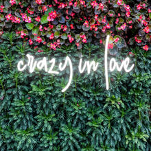 Load image into Gallery viewer, "crazy in love" Lowercase Design Neon Sign
