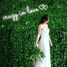 Load image into Gallery viewer, "crazy in love" Double Heart Horizontal Design Neon Sign