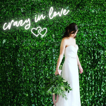 Load image into Gallery viewer, "crazy in love" Double Heart Design Neon Sign