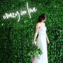 Load image into Gallery viewer, "crazy in love" Lowercase Design Neon Sign