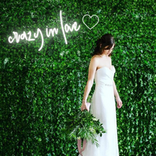 Load image into Gallery viewer, "crazy in love" Heart Design Neon Sign