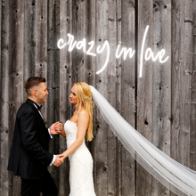 Load image into Gallery viewer, "crazy in love" Lowercase Design Neon Sign