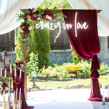 Load image into Gallery viewer, "crazy in love" Lowercase Design Neon Sign