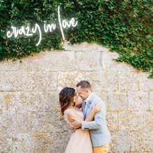 Load image into Gallery viewer, "crazy in love" Lowercase Design Neon Sign