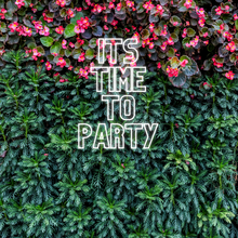 Load image into Gallery viewer, "Its Time To Party" Neon Sign