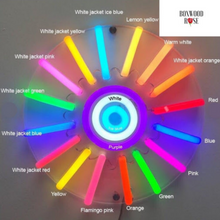 Load image into Gallery viewer, "crazy in love" Center Heart Design Neon Sign