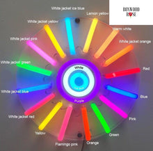 Load image into Gallery viewer, "Happily Ever After" Neon Sign